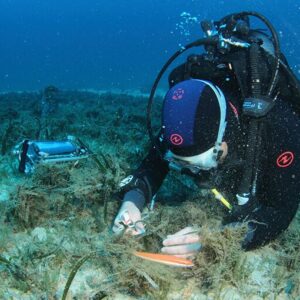 diving-pam-II_fluorometro-subaquatico